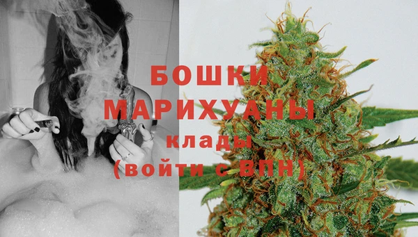 PSILOCYBIN Новодвинск