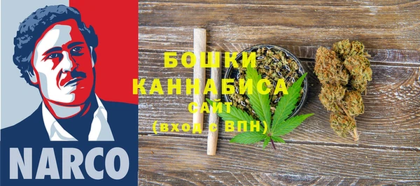 PSILOCYBIN Новодвинск