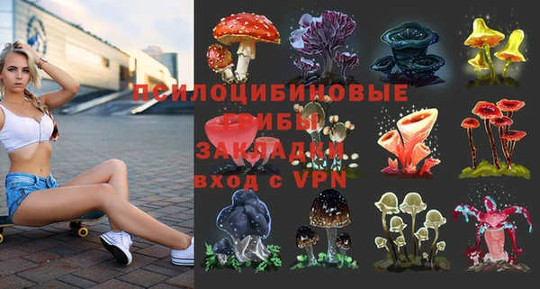 mdpv Аша