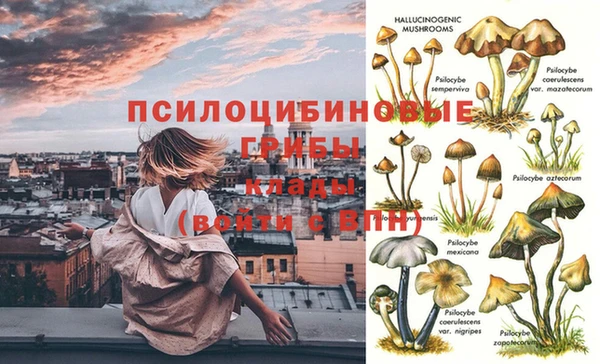 тгк Нефтегорск