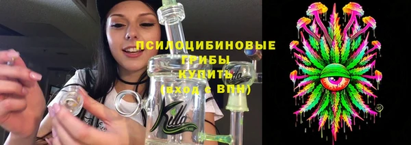 PSILOCYBIN Новодвинск
