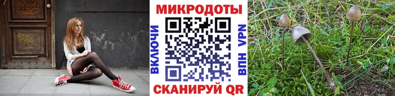 Псилоцибиновые грибы ЛСД  закладки  Борисоглебск 